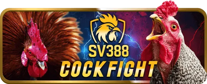Cá cược có trách nhiệm tại 28bet Login App
